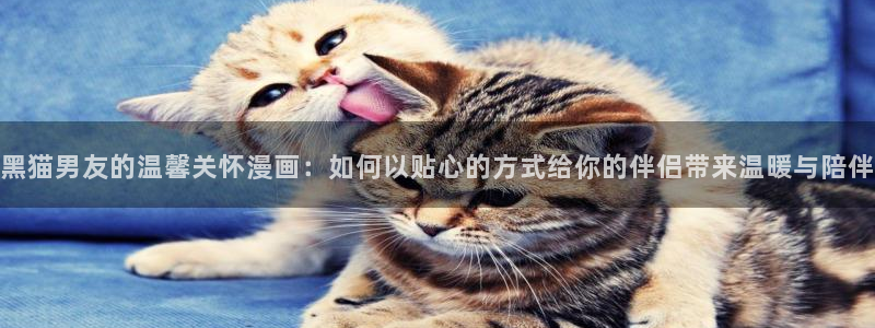 羞羞漫画免费网页