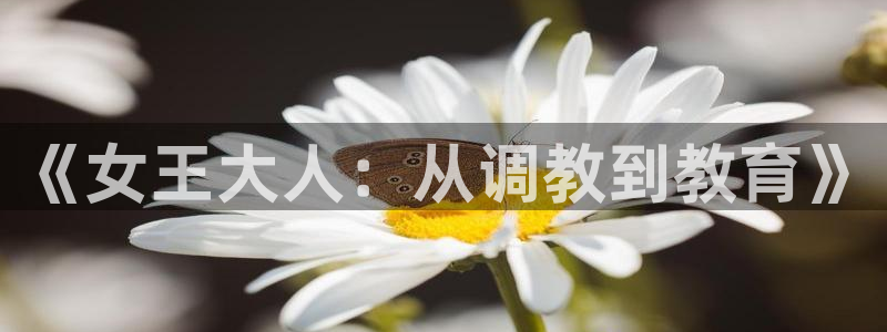 羞羞漫画免费阅读.：《女王大人：从调教到教育》