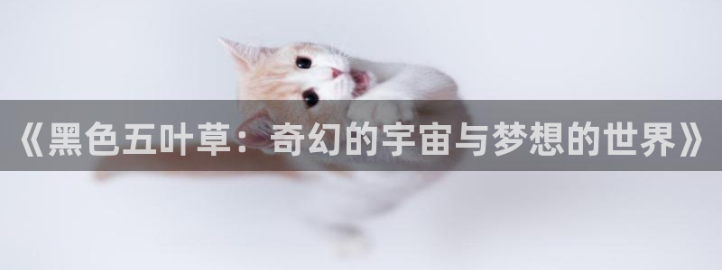 韩漫无遮挡羞羞漫画：《黑色五叶草：奇幻的宇宙与梦想的世界》