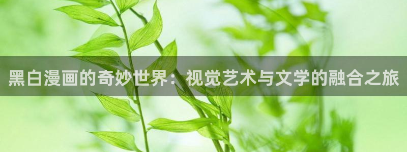 韩国漫画羞羞漫画在线阅读：黑白漫画的奇妙世界：视觉艺术与文学的融合之旅
