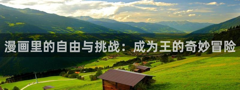 羞羞漫画网口：漫画里的自由与挑战：成为王的奇妙冒险