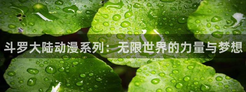 歪歪漫画羞羞漫画国产：斗罗大陆动漫系列：无限世界的力量与梦想
