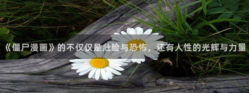 羞羞漫画歪歪漫画在线观看：《僵尸漫画》的不仅仅是危险与恐怖，还有人性的光辉与力量