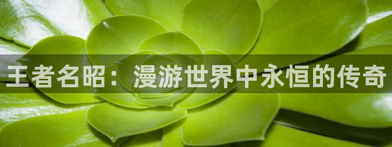 秋蝉羞羞漫画：王者名昭：漫游世界中永恒的传奇