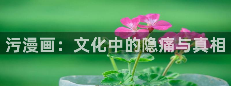 羞羞漫画为成年人