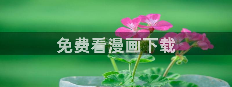 羞羞漫画全集免费观看