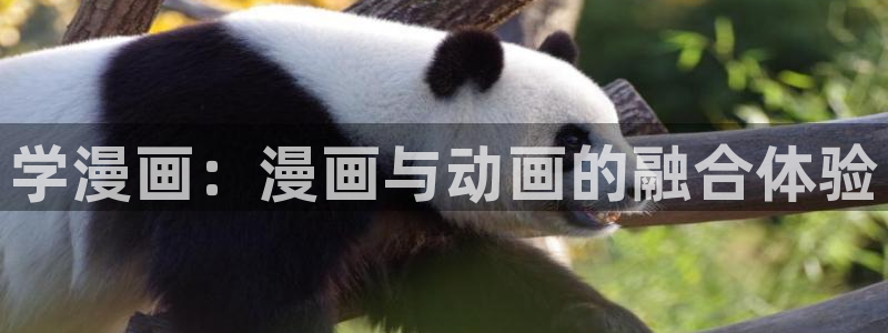 羞羞漫画在线页面