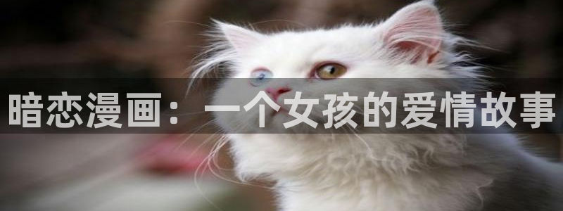 羞羞漫画在线观看入口免费