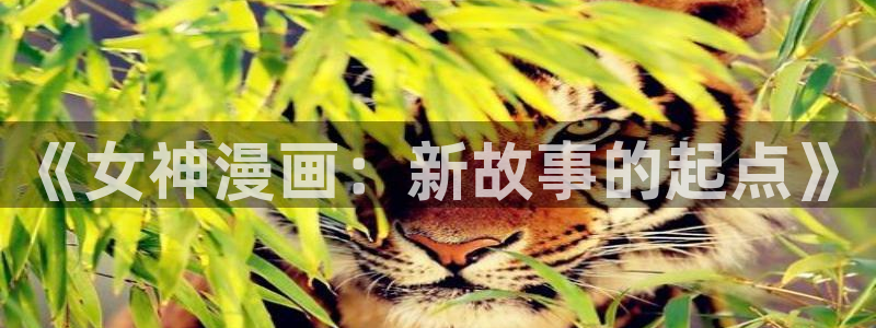 羞羞漫画/歪歪漫画：《女神漫画：新故事的起点》