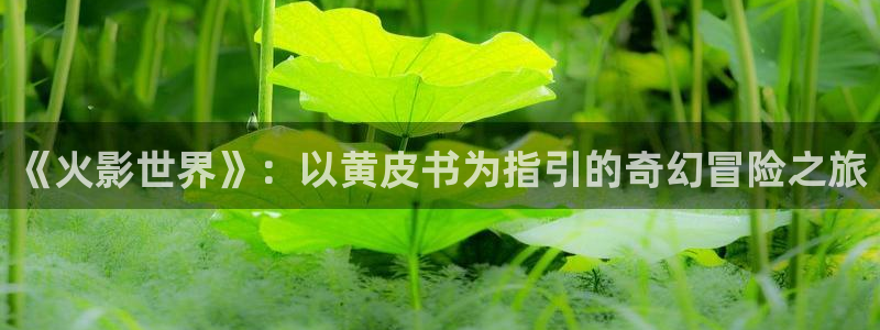 羞羞漫画歪歪网