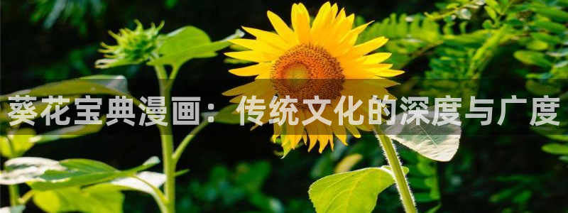 鸣人xx玖辛奈羞羞漫画：葵花宝典漫画：传统文化的深度与广度