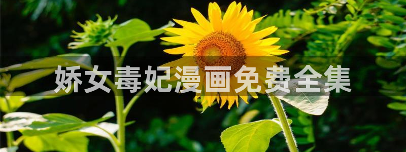 羞羞漫画限免鸣人