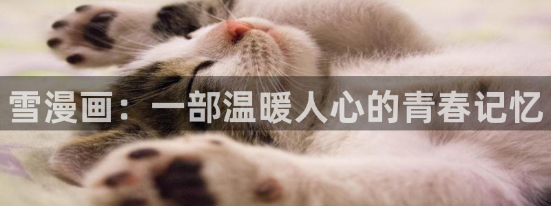 羞羞漫画 免费在线观看